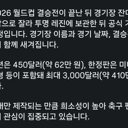 FIFA 가 월드컵 결승 종료후 하려는 사업.