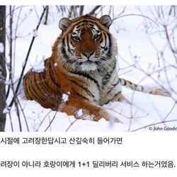 자꾸만 고려장 고려장 이딴 말 아직도 하는데 말이지.