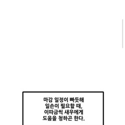 본인 와이프 관찰하며 그린 웹툰