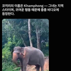 좋은 거 혼자 쓰지 말고 좀 빌려줘