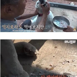 친구를 보내고 금식하는 개