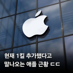잘 몰랐던 파산전문 애플