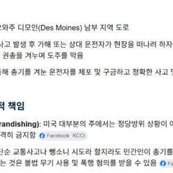 사고 내고 튀려고 한 상대를 권총으로 막아선 남자