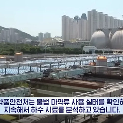 임계점을 넘었다는 한국의 마약 침투 수준.news