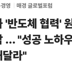 베트남 "한국의 반도체 노하우 전수해달라"???