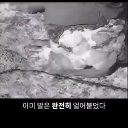 영하30도 장진호 전투