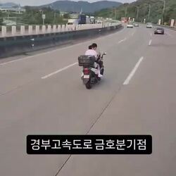 경부고속도로 근황.mp4