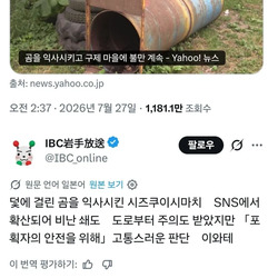 곰 익사시켰다고 난리난 일본.news