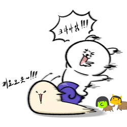 한문철TV 레전드 추월 시도.mp4