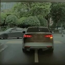바퀴에 손이 깔렸는데 보험사에서 20과실잡음
