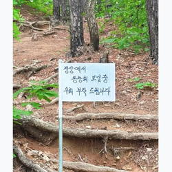 무개념 등산 모임