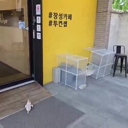 카페 문 앞에 드러 누워 있는 진상