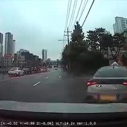 이걸 지 잘못없다고 생각하는 게 소름..gif