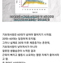 30대 넘으면 기초대사량 떨어진다는거 구라임