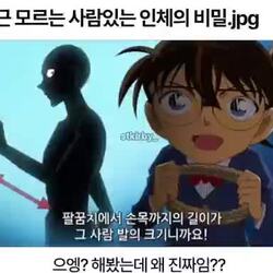은근 모르는 사람이 있다는 인체의 비밀