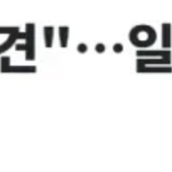 한국인 혐한 유튜버가  일본 귀화 신청는 것에 일본인들 반응