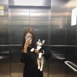 귀여운 댕댕이가 키우고 싶었던 누나