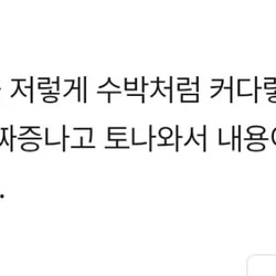 ??? : 가슴을 수박처럼 커다랗게 그려야할 이유를 모르겠다