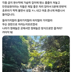 계곡 안전요원이 무슨 권한으로 저러는지 다시는 안온다