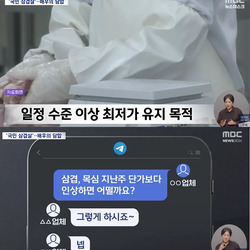 삼겹살 가격 근황