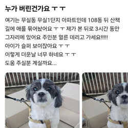 당근에 올라온 유기견