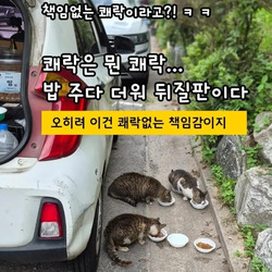 "책임없는 쾌락"이란 말에 빡친 캣맘