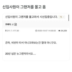 신입이 그랜저 끌고와서 난리난 회사