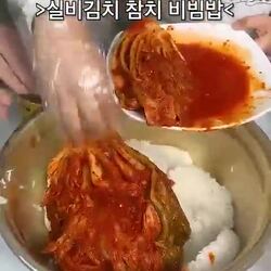 점심으로 실비김치에 참치 때려 넣고 비벼먹기