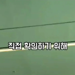 '고기와 수박' 썰을 확인하러 온 중국 틱톡커.jpg