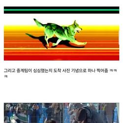 동계올림픽 역대급 관중 난입