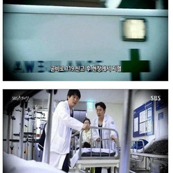 7년 키운개가 1살아기 물어죽인사건.jpg