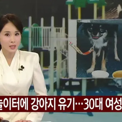 폭염속에 강아지 놀이터에 버린 여성 입건