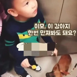 이모, 이 강아지 한번 만져봐도 돼요?