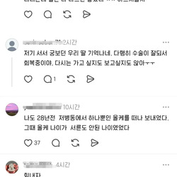 아는 사람만 안다는 슬픈 창경궁 뷰.jpg