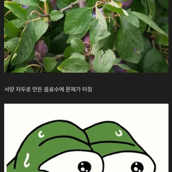 이번에 큰 사고가 터졌다는 중국 항공사.jpg
