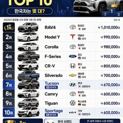 2025년 세계 베스트 셀링카 TOP 10
