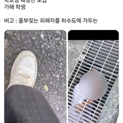 실시간 일본에서 난리난 학폭 영상 ㄷㄷㄷㄷㄷ