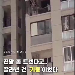 중국 아파트 개조 근황