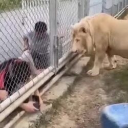 나는 괜찮은데 다른 애들 있을때 이러지 마라.gif