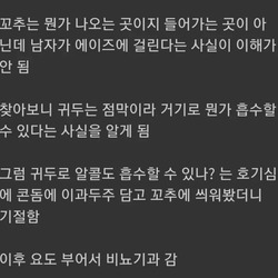 꼬추는 뭔가 나오는 곳이지 들어가는 곳이 아닌데