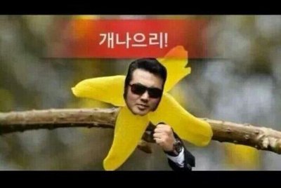 의리 개나으리