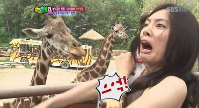 으억 깜놀 놀람 개놀람 순간포착  홍수아