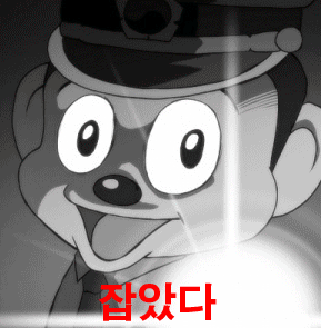 삐뽀삐뽀 삐뽀 잡있다 요놈 포돌이 경찰