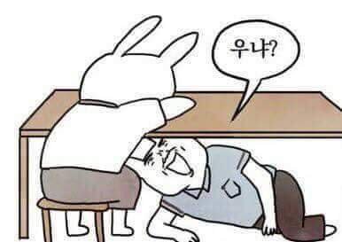 토끼 우냐 놀림 눈물 야매토끼