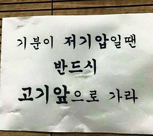 고기압 저기압 고기앞 기분 문구 재미있는