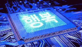 행복 회로 폭발
