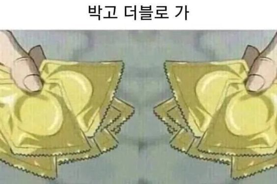 커플 솔로 박고 더블로가 두배 여러번