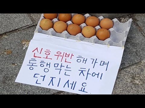 신호위반 해가며 통행막는 차에 던지세요 계란 달걀 투척
