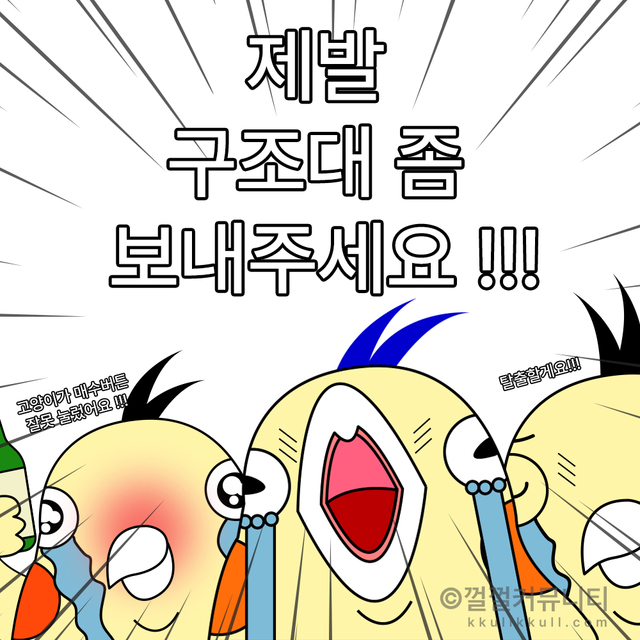 껄무새 껄껄 비트코인 껄껄커뮤니티 암호화폐 코인짤 살껄팔껄 주식짤 제발 구조대 보내주세요!!