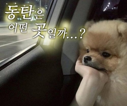 동탄 동탄은 어떤 곳일까 아련